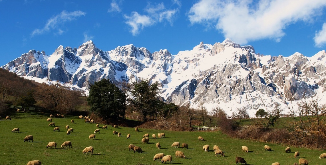 <p>Picos de Europa</p>